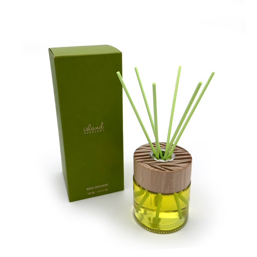 Room Reed Diffuser | Shop Toast
